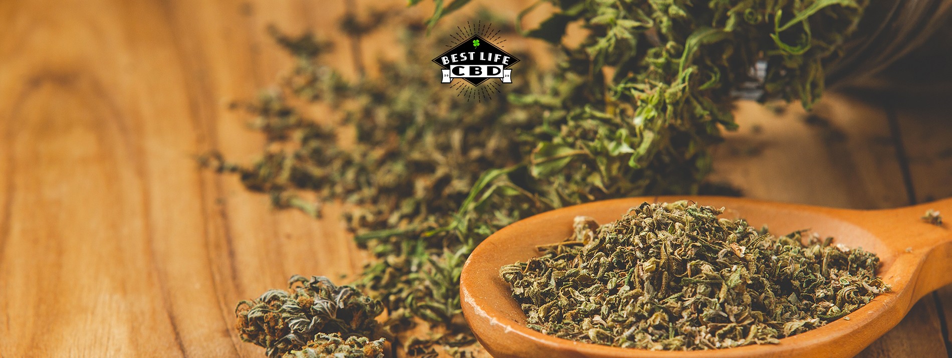 Découvrez nos aliments CBD